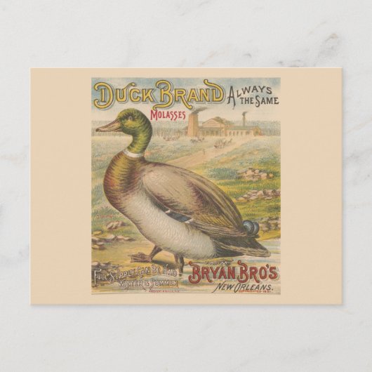  New Orleans Louisiana Retro-melasse Briefkaart (Voorkant)