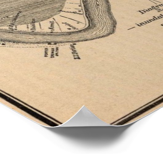 New Orleans MAp 1849 Poster (Hoek)