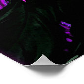 New Orleans Mardi Gras Mask Poster Print (Hoek)