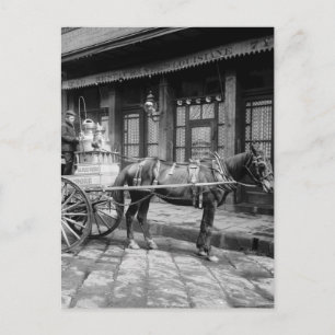 New Orleans Milk Cart: 1903 Briefkaart
