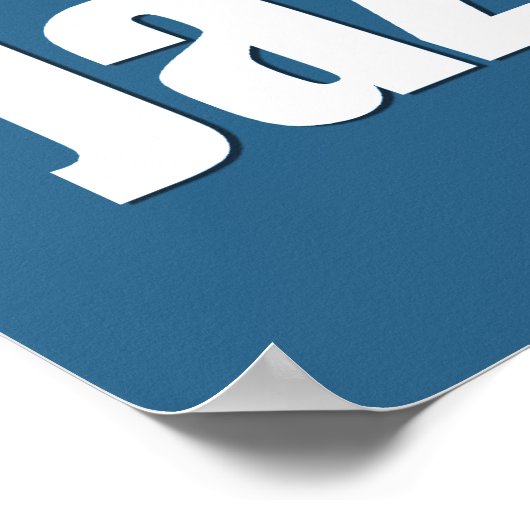 New Orleans Poster (Hoek)