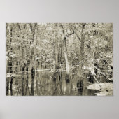 New Orleans Swamp Poster (Voorkant)