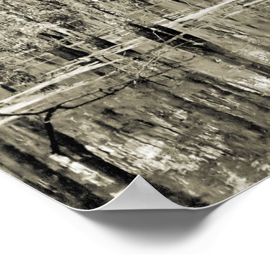 New Orleans Swamp Poster (Hoek)