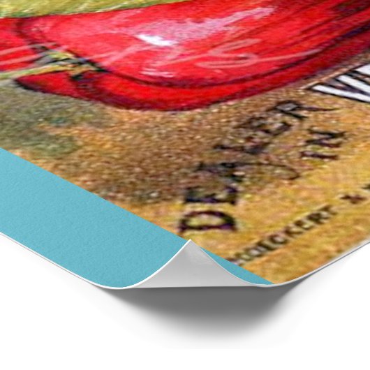 New Orleans  zaadwinkel Poster (Hoek)