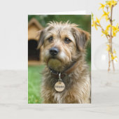 New Pet Dog Congratulations Kaart (Gele Bloem)