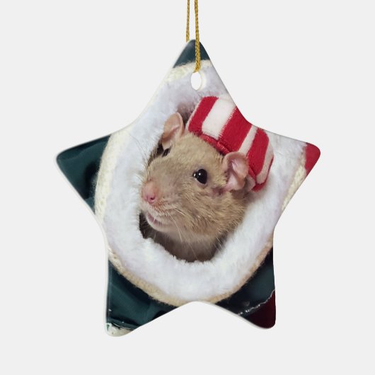 NEW!  Pet Rat Coco Ornament (Rechts)
