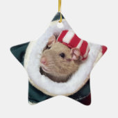 NEW!  Pet Rat Coco Ornament (Achterkant)