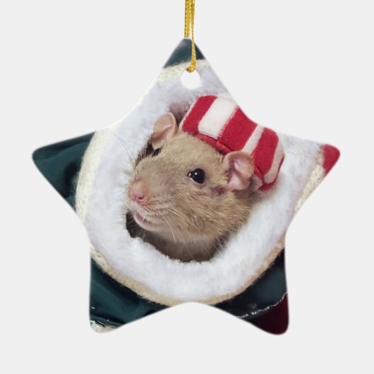 NEW! Pet Rat Coco Ornament (Achterkant)