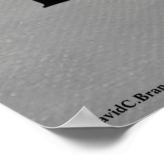 New Revelations Poster (Hoek)