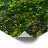 New River Gorge Bridge I Poster (Hoek)
