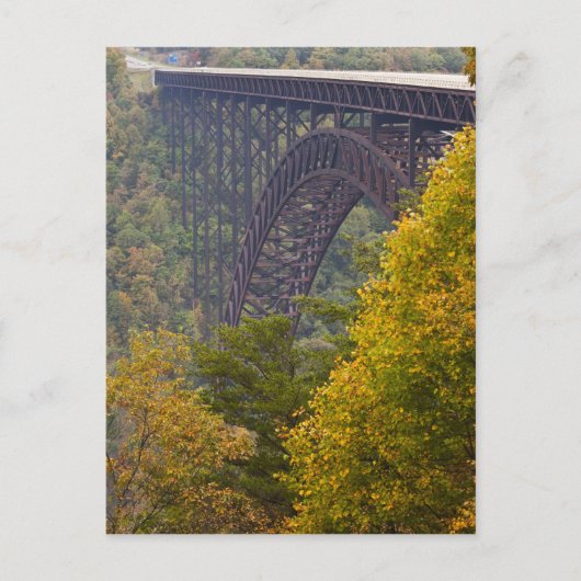 New River Gorge Bridge, New River Gorge Briefkaart (Voorkant)