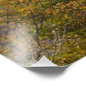 New River Gorge Bridge, New River Gorge Foto Afdruk (Hoek)