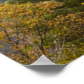 New River Gorge Bridge, New River Gorge Poster (Hoek)