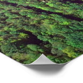 New River Gorge Bridge - West Virginia Poster (Hoek)