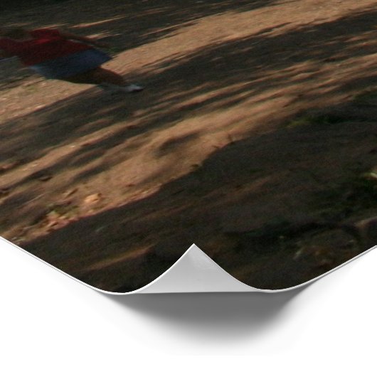 New River Gorge Bridge WVA Poster (Hoek)