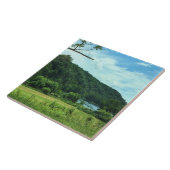 New River, Virginia Tegeltje (Zijkant)