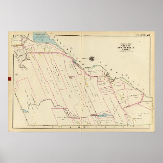 New Rochelle ward 3, New York Poster (Voorkant)