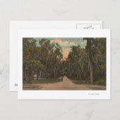New Smyrna, Florida - Uitzicht van Magnolia Briefkaart (Voorkant / Achterkant)