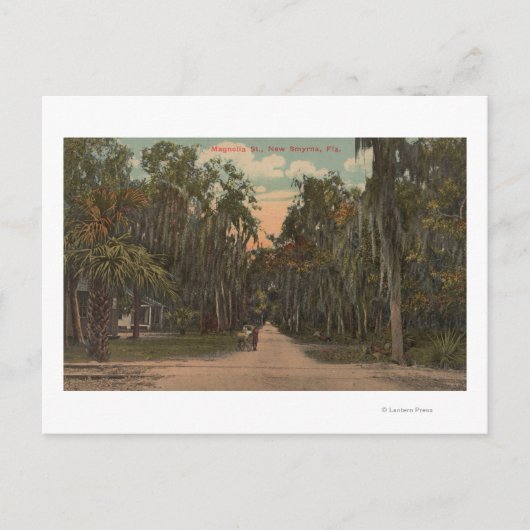 New Smyrna, Florida - Uitzicht van Magnolia Briefkaart (Voorkant)