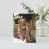 New Sweet Baby Orangutan Briefkaart (Staand voorkant)