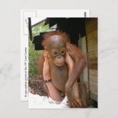 New Sweet Baby Orangutan Briefkaart (Voorkant / Achterkant)