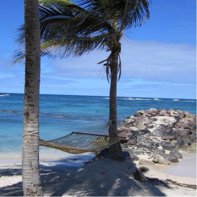 New Yaren Day Hammock Staand Fotobeeldje (Voorkant)