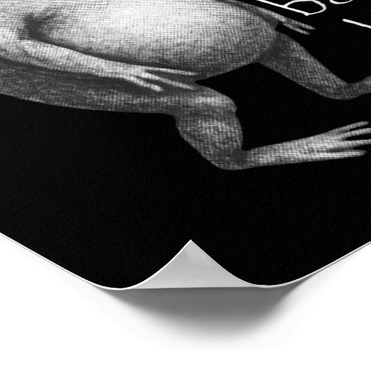 New Year Same Baka Life Funny Frog Joke Poster (Hoek)