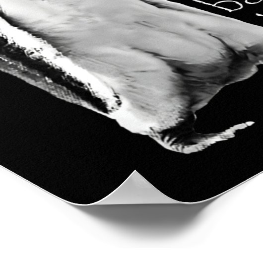 New Year Same Baka Life Penguin Joke Poster (Hoek)