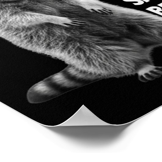 New Year Same Baka Life Raccoon Joke  Poster (Hoek)