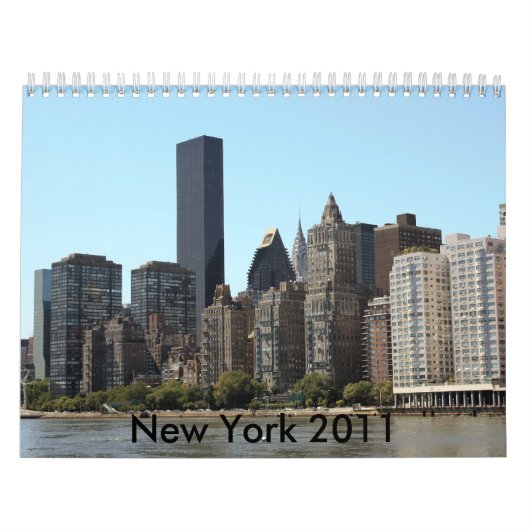 New York 2011 Kalender (Hoes)