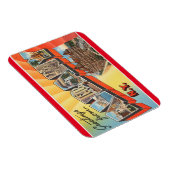 New York, Albany Magnet Magneet (Rechterzijde)