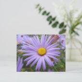 New York Aster "Magic Paars" in de Herfst Briefkaart (Staand voorkant)
