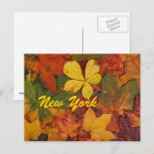 New York Autumn Leaves Briefkaart (Voorkant / Achterkant)