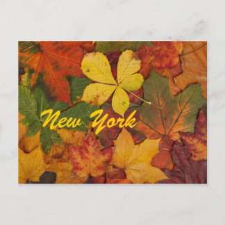 New York Autumn Leaves Briefkaart