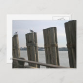 New York - Battery Park Briefkaart (Voorkant / Achterkant)