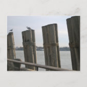 New York - Battery Park Briefkaart (Voorkant)