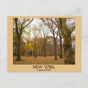 New York Briefkaarten NYC Central Park Briefkaarte