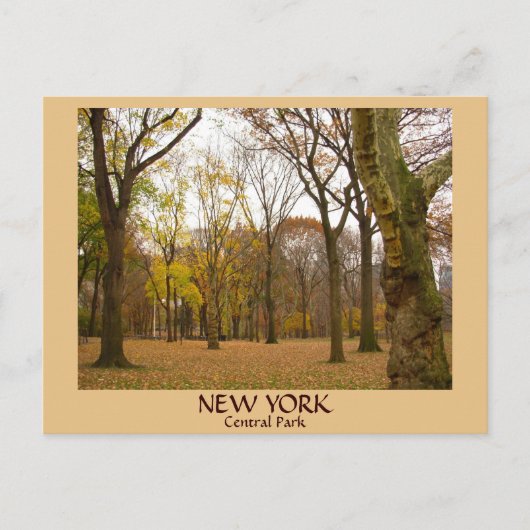 New York Briefkaarten NYC Central Park Briefkaarte (Voorkant)