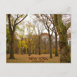 New York Briefkaarten NYC Central Park Briefkaarte
