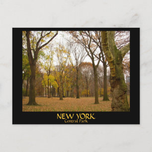 New York Briefkaarten NYC Central Park Briefkaarte