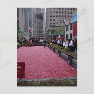 NEW YORK CITY BRIEFKAART