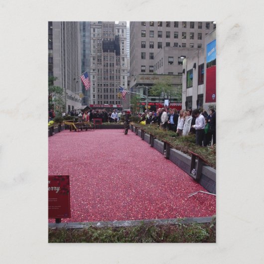 NEW YORK CITY BRIEFKAART (Voorkant)