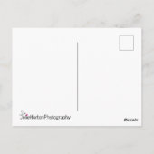 New York City Central Park South Briefkaart (Achterkant)