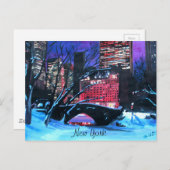 New York City - Central Park Winter Briefkaart (Voorkant / Achterkant)