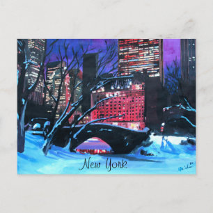 New York City - Central Park Winter Briefkaart