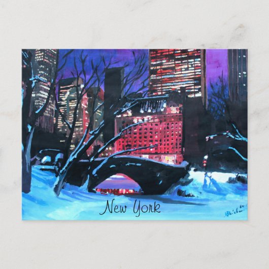 New York City - Central Park Winter Briefkaart (Voorkant)