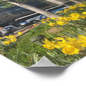 New York City Daffodils Columbus Circle NYC Spring Poster (Hoek)