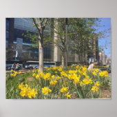 New York City Daffodils Columbus Circle NYC Spring Poster (Voorkant)