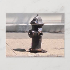 New York City Fire Hydrant Post Kaart