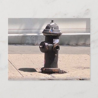 New York City Fire Hydrant Post Kaart